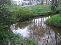 Ecomonitor Oy on tehnyt Vantaan Kylm�ojasta ekologisen tilan selvityksen