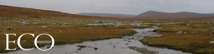 Pyh�sel�n vedenlaatu selvitet��n vesist�tutkimuksen avulla