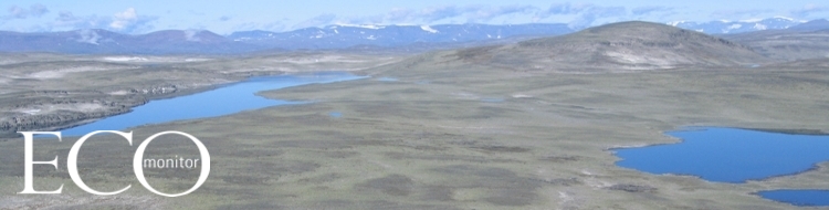 Ecomonitor