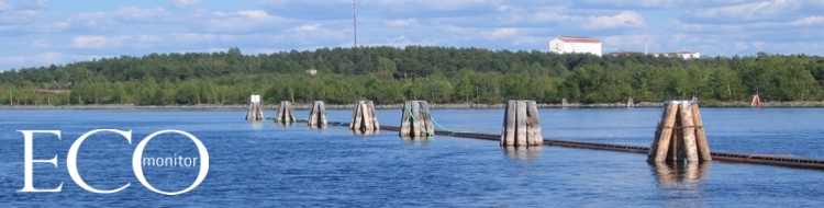 Ecomonitor Oy:n kotipaikka on Joensuu, Pielisjoen ja Pyh�sel�n rannalla, josta olemme m��ritt�neet ekologisen tilan. T�ss� n�kym� Pielisjoelta.